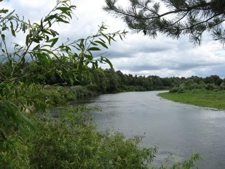 Осіч з panoramio.com - Осіч