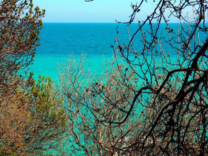 Курпати з panoramio.com - Курпати