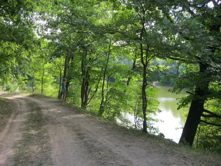 Рибальське з panoramio.com - Рибальське