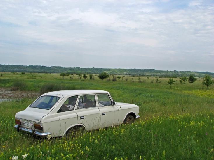 Плавні з panoramio.com - Плавни
