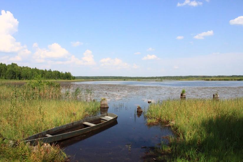 Жовтневе з panoramio.com - Жовтневе