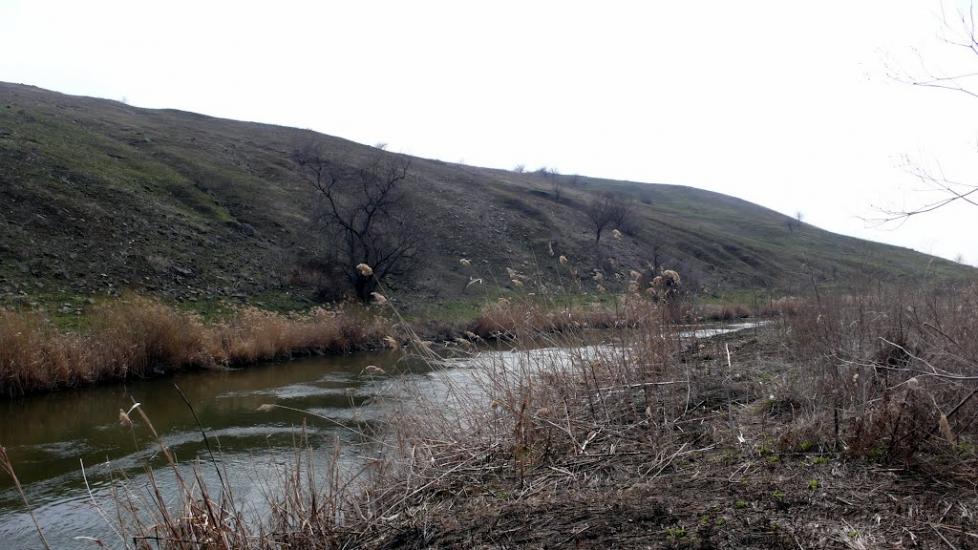 Новокатеринівка з panoramio.com - Новокатеринівка