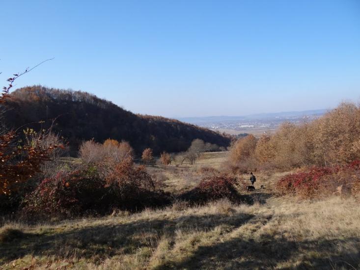 Біла Церква з panoramio.com - Біла Церква