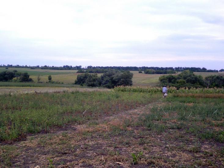 Мілова Балка з panoramio.com - Меловая Балка