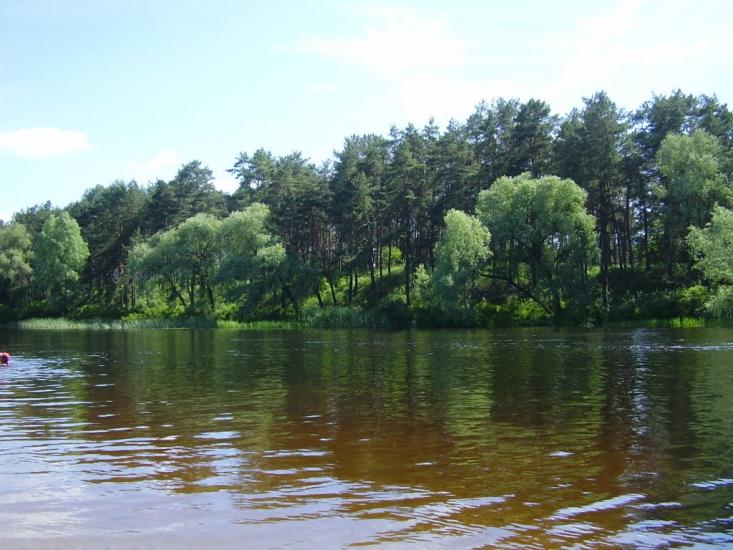 Свидівок з panoramio.com - Svydivok