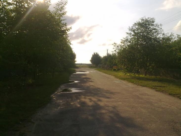 Колонщина з panoramio.com - Колонщина