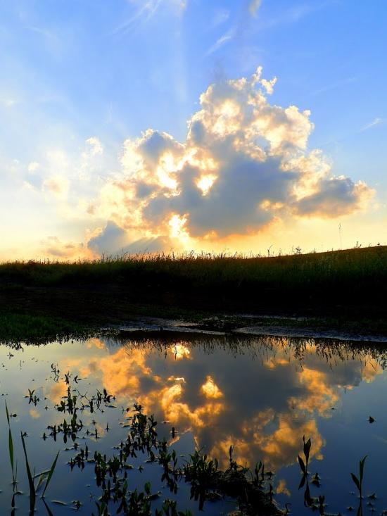 Шимшинівка з panoramio.com - Shymshynivka