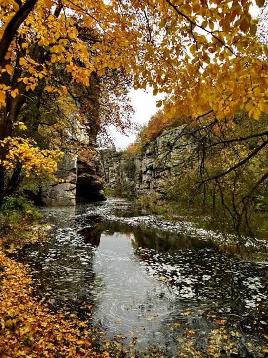 Буки з panoramio.com - Буки