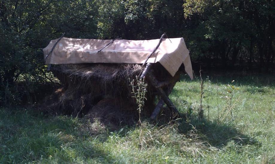 Староварварівка з panoramio.com - Староварварівка