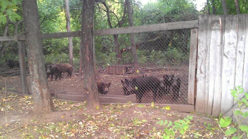 Рибальське з panoramio.com - Рибальське