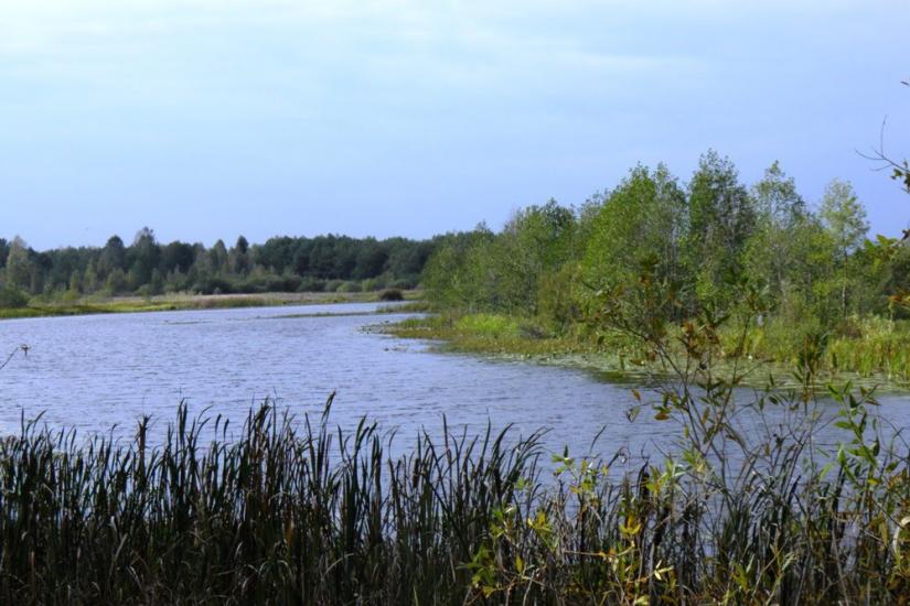 Млин з panoramio.com - Mlyn