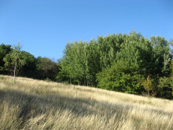 Кунцеве з panoramio.com - Кунцеве