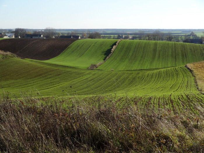Корчів з panoramio.com - Корчів