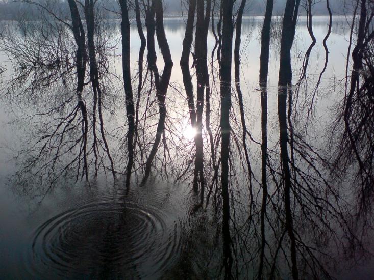 Жукин з panoramio.com - Жукин