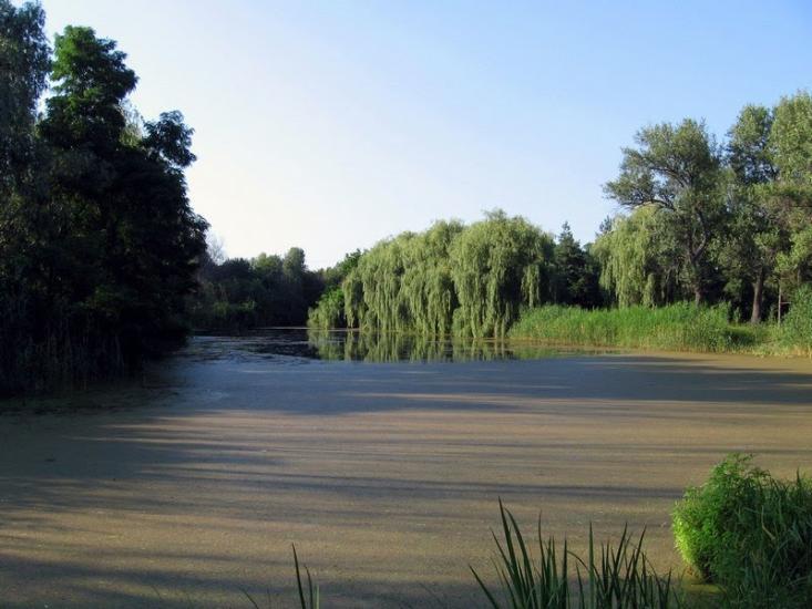 Марганець з panoramio.com - Marganets