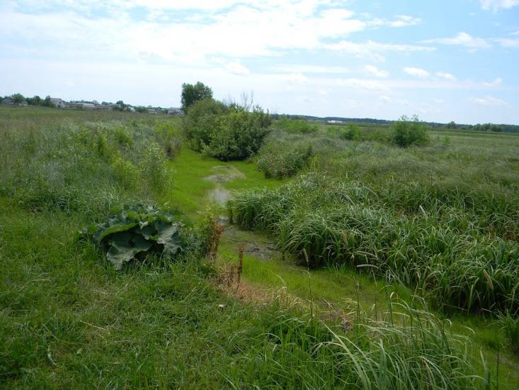 Білозір'я з panoramio.com - Белозерье