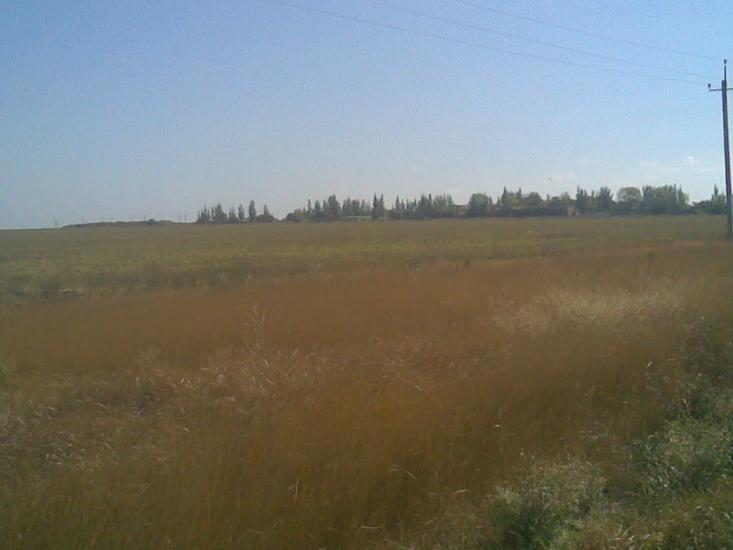 Орлівка з panoramio.com - Орловка