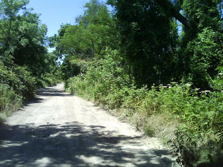 Фруктове з panoramio.com - Фруктовое