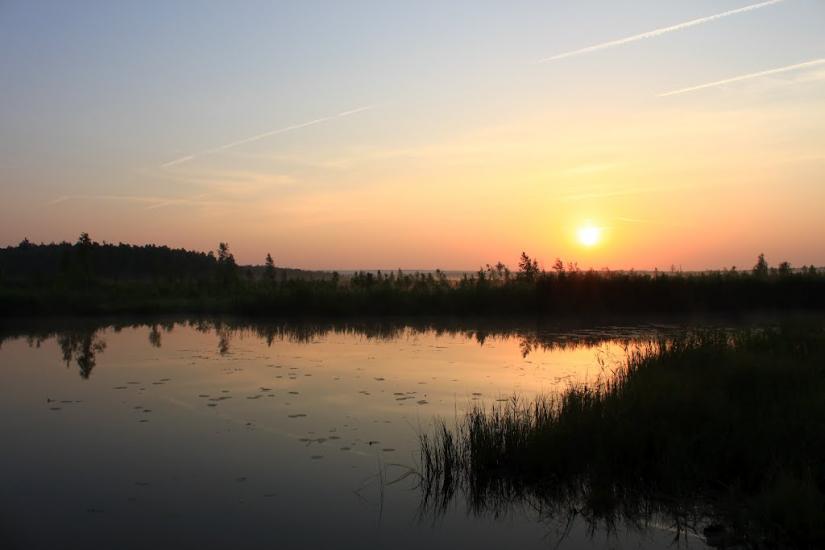 Жовтневе з panoramio.com - Жовтневе