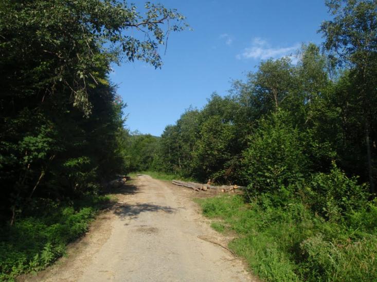 Княгиня з panoramio.com - Княгиня