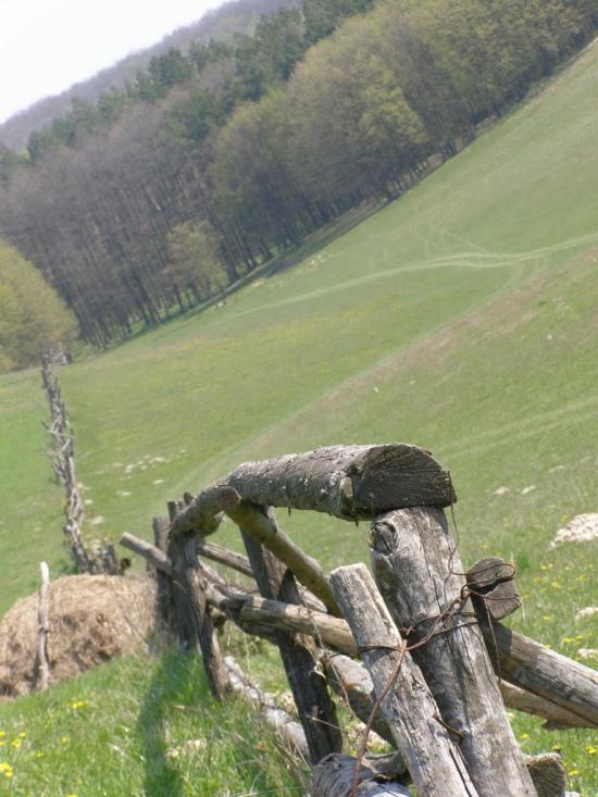 Голенищеве з panoramio.com - Голенищеве