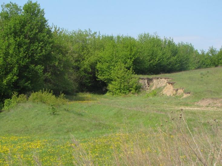 Яцьки з panoramio.com - Яцки