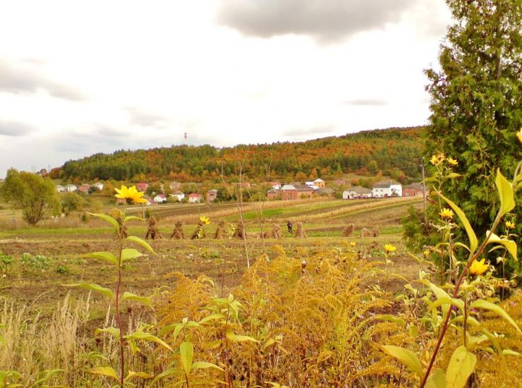 Лісники з panoramio.com - Лесники