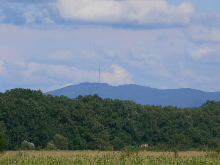 Чорний Потік з panoramio.com - Чорний Потік