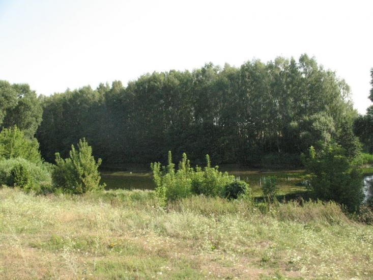 Нова з panoramio.com - Нова