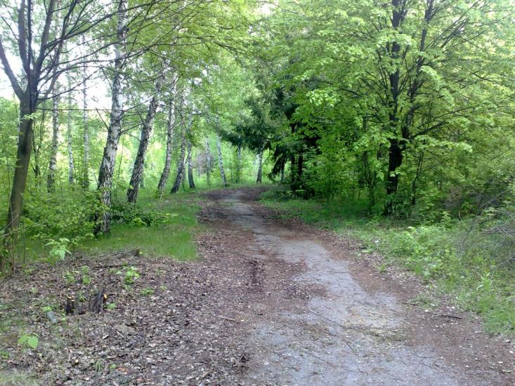 Люботин з panoramio.com (ч.2) - Люботин