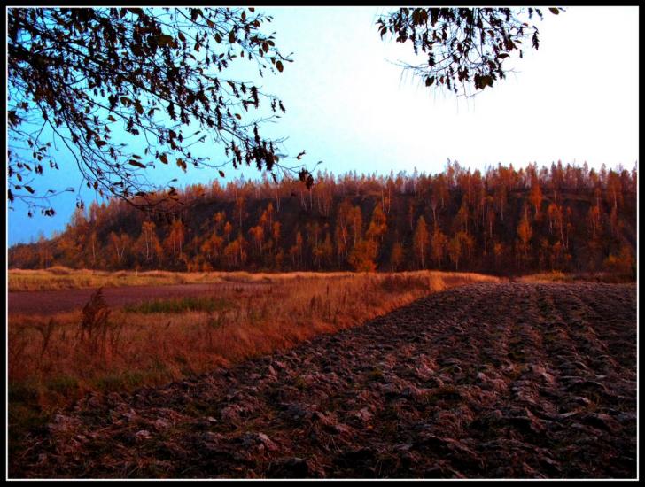 Шахтарське з panoramio.com - Шахтарское