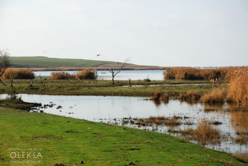 Фрунзе з panoramio.com - Фрунзе