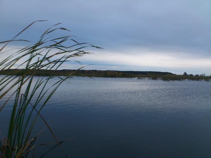 Киселівка з panoramio.com - Киселівка