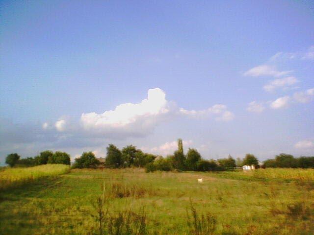 Вершино-Кам'янка з panoramio.com - Вершино-Кам'янка