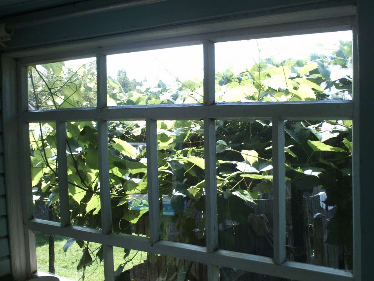 Мої спогади - Сутоки