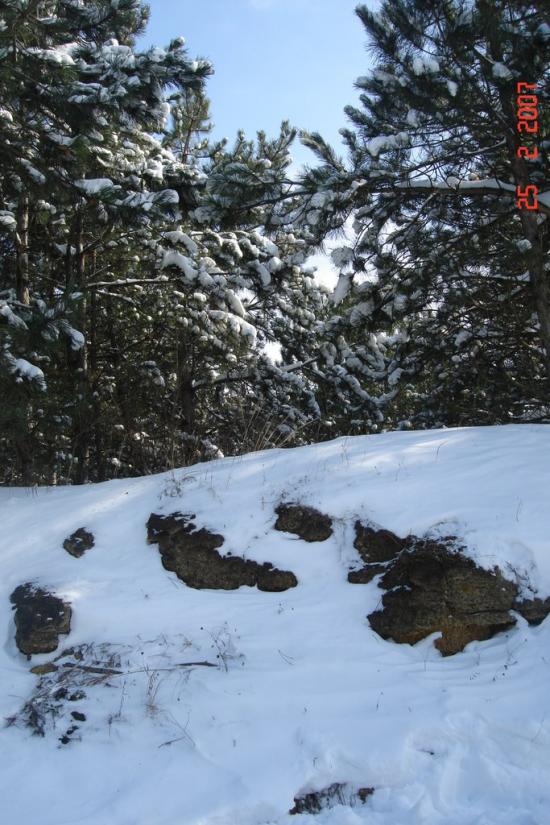 Алтестове з panoramio.com - Алтестово