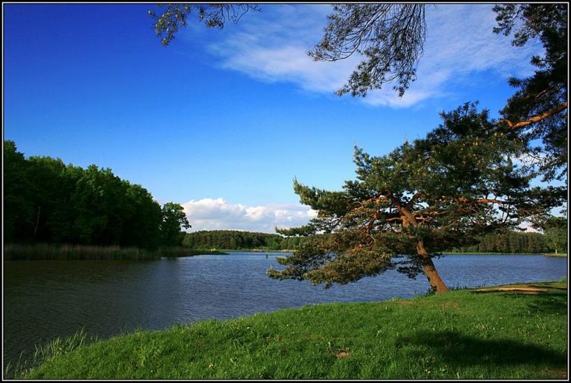 Хрипаличі з panoramio.com - Хрипаличі