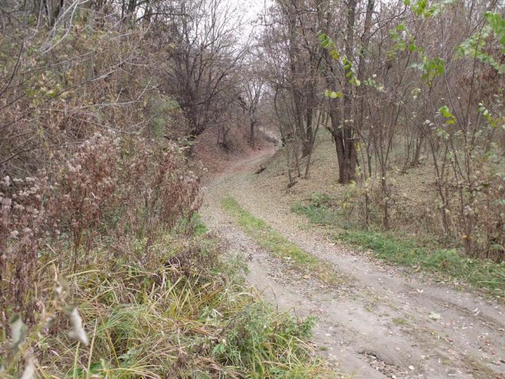 Задонецьке з panoramio.com - Задонецкое