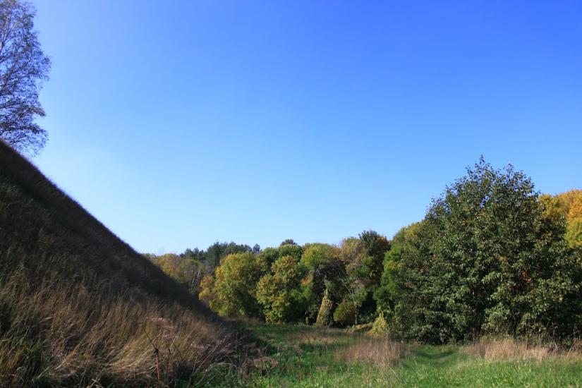 Яроповичі з panoramio.com - Яроповичі