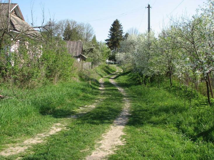 Бахматівці з panoramio.com - Bakhmativtsi
