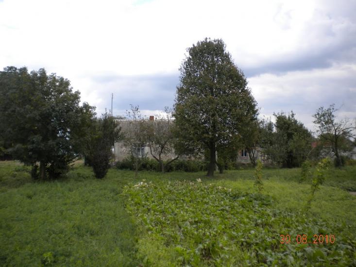 Лідихів з panoramio.com - Лідихів