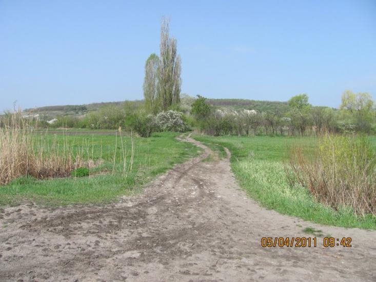 Мілуватка з panoramio.com - Мілуватка