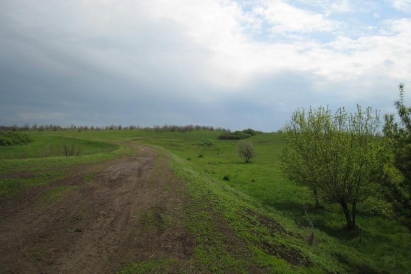 Радісне з panoramio.com - Радостное
