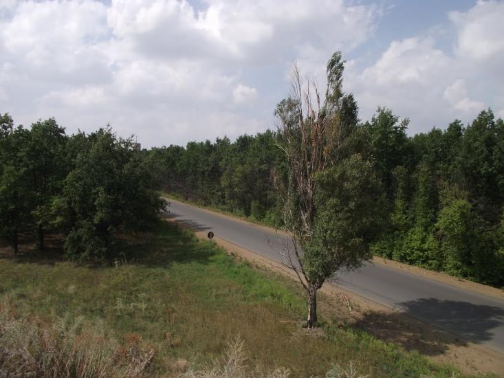 Мирне з panoramio.com - Мирное