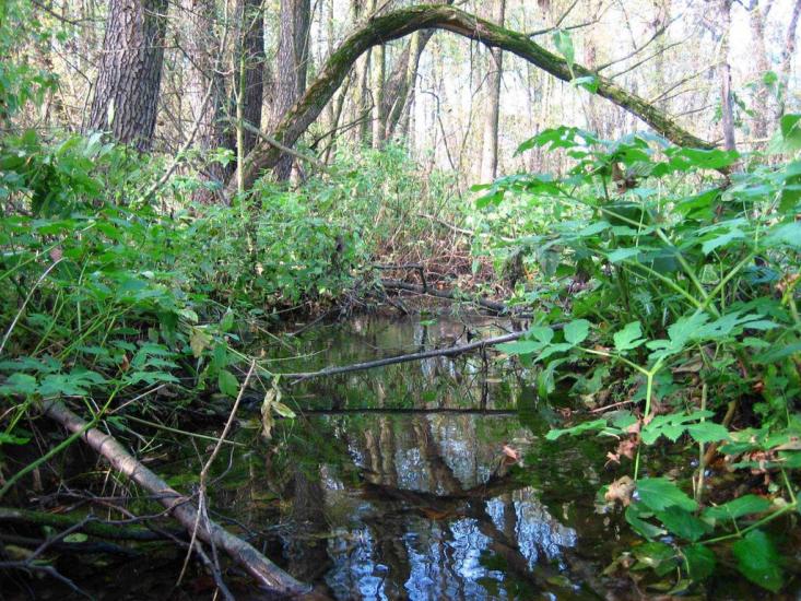 Гута з panoramio.com - Гута