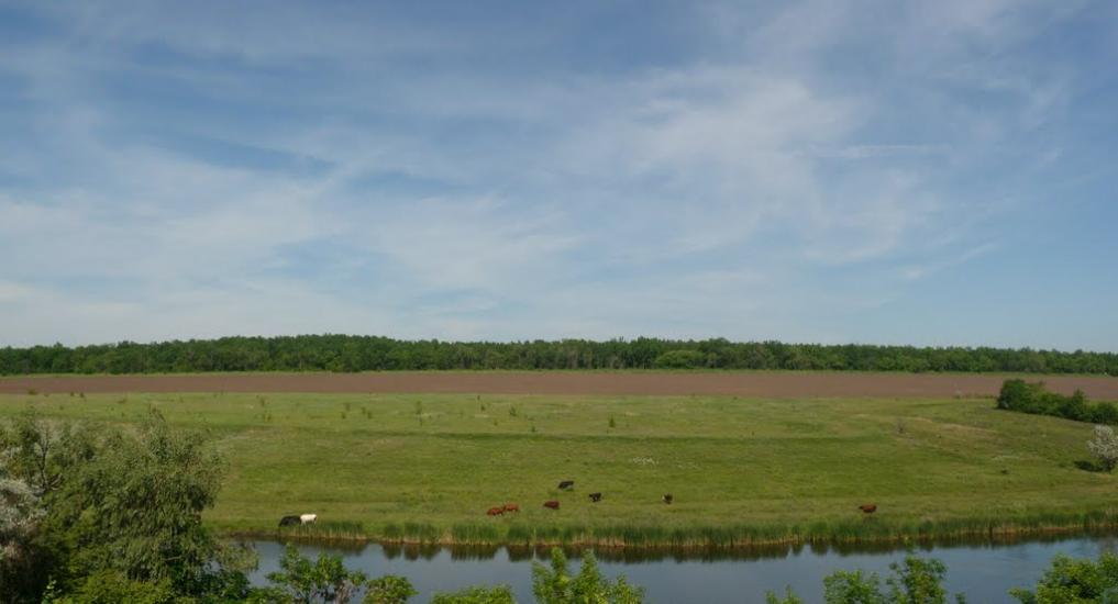 Чувилине з panoramio.com - Чувилино