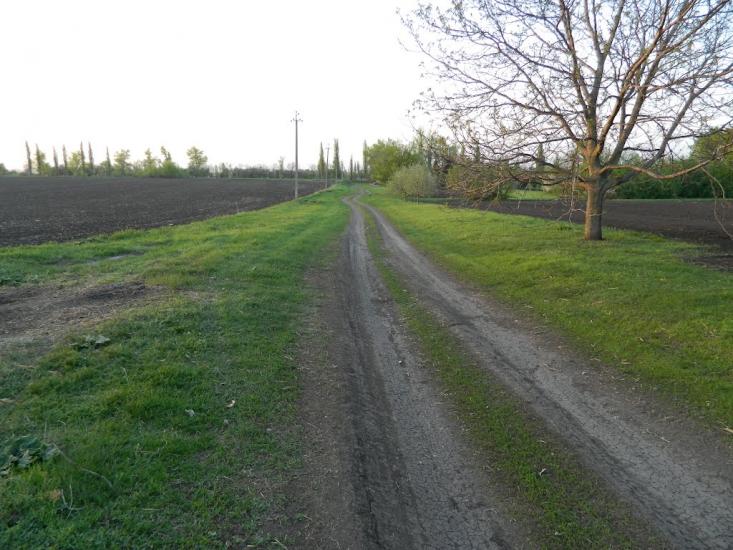 Шишкине з panoramio.com - Шишкино