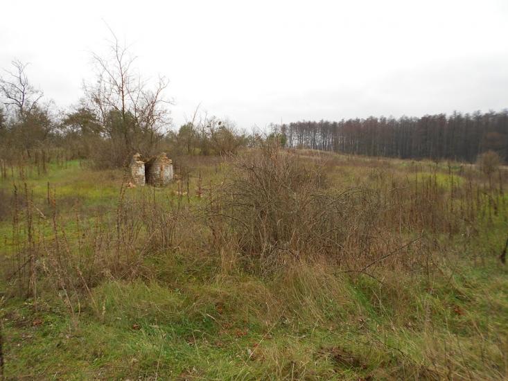 Деменці з panoramio.com - Dementsi