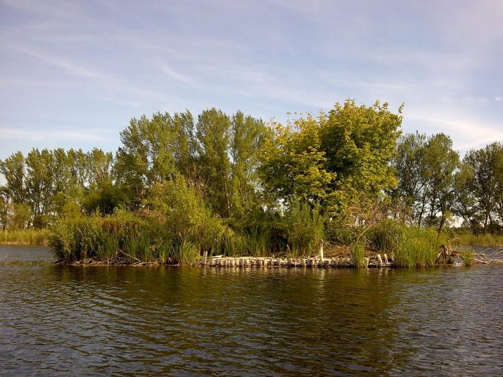 Солонці з panoramio.com - Солонцы