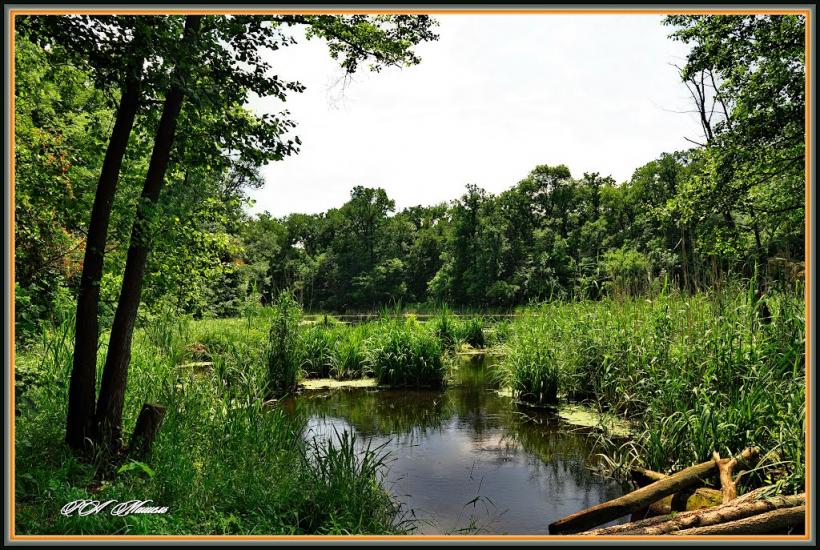 Дронівка з panoramio.com - Дронівка